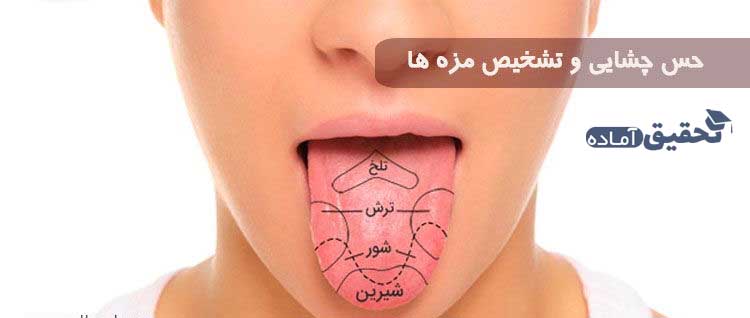 کاربرد زبان در دهان