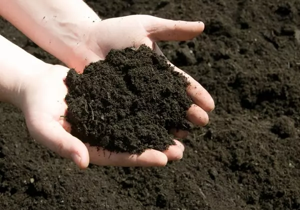 مقاله در مورد شیوه‌های طبقه بندی خاک‌های متورم شونده