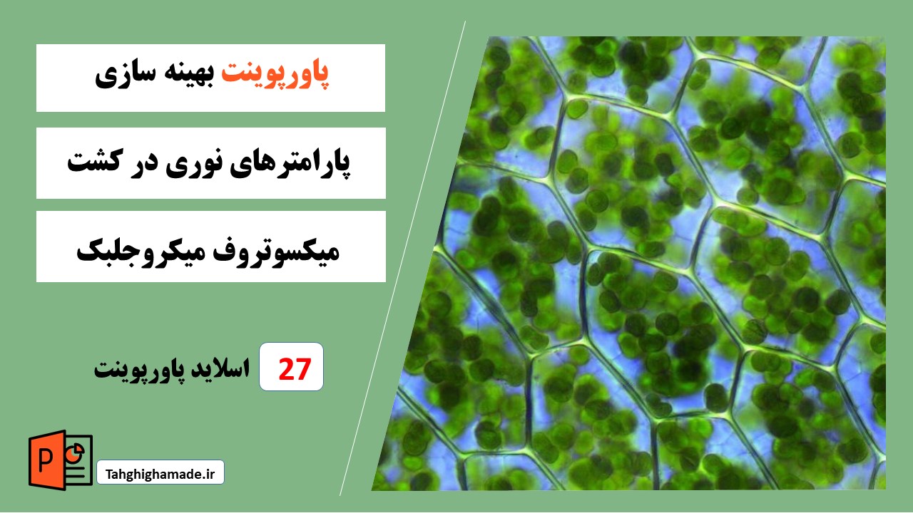 پاورپوینت بهینه سازی پارامترهای نوری در کشت میکسوتروف میکروجلبک